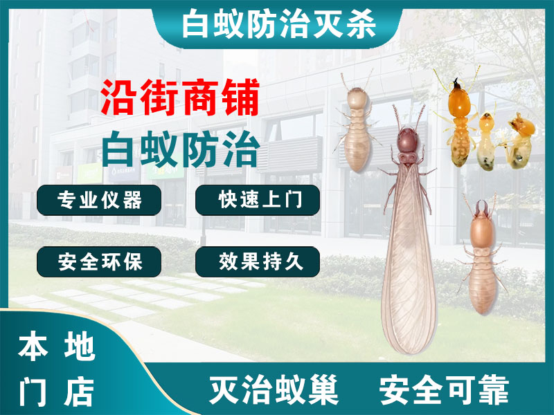 宝应县沿街商铺白蚁防治