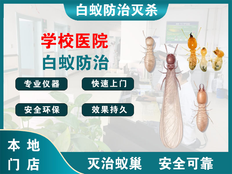 宝应县学校医院白蚁防治