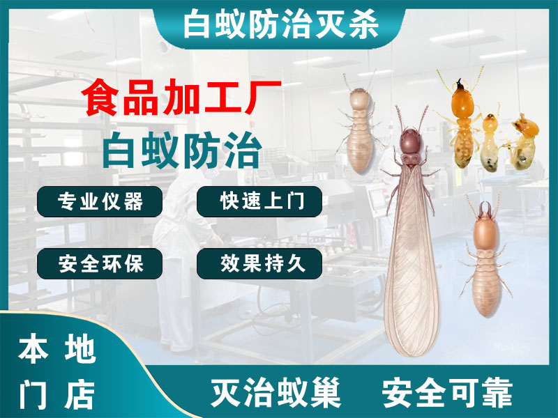 宝应县食品加工厂白蚁防治