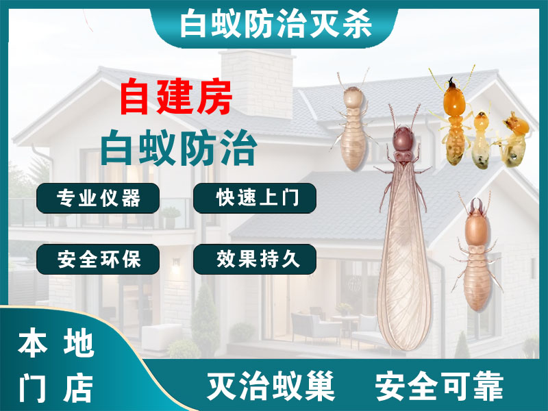 宝应县自建房白蚁防治
