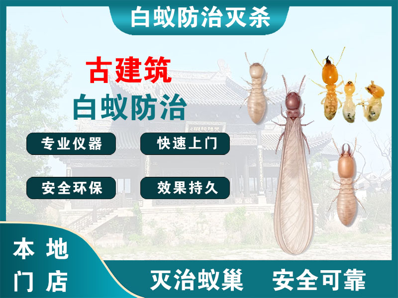 宝应县古建筑白蚁防治