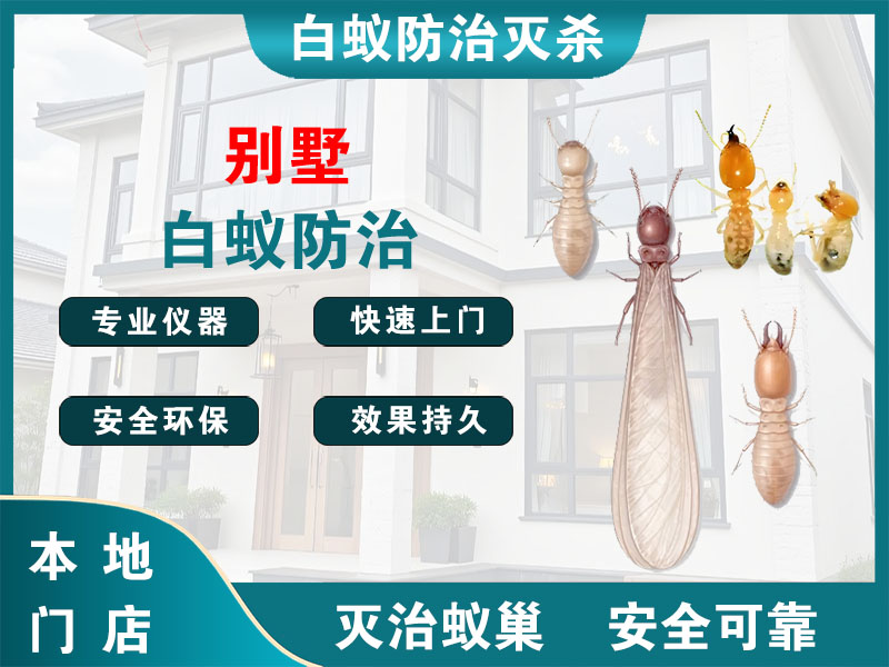 宝应县别墅白蚁防治